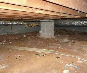Crawl space before insulation