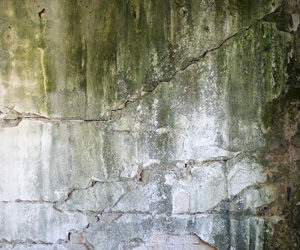 Check your crawl space in spring with Delmarva Insulation