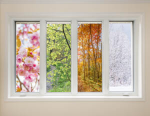 Seasons in a window