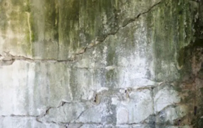 Cement block wall with signs of moisture