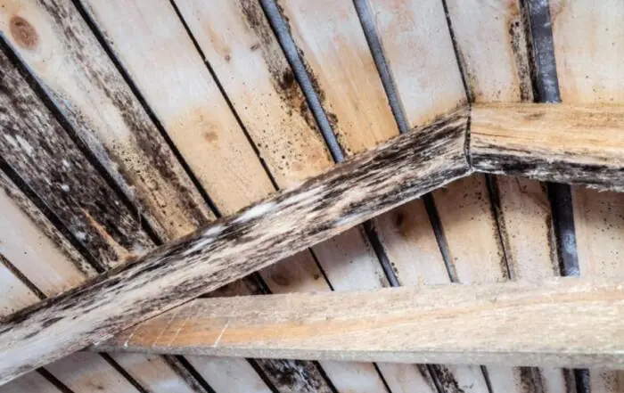 Weathered wooden ceiling beams